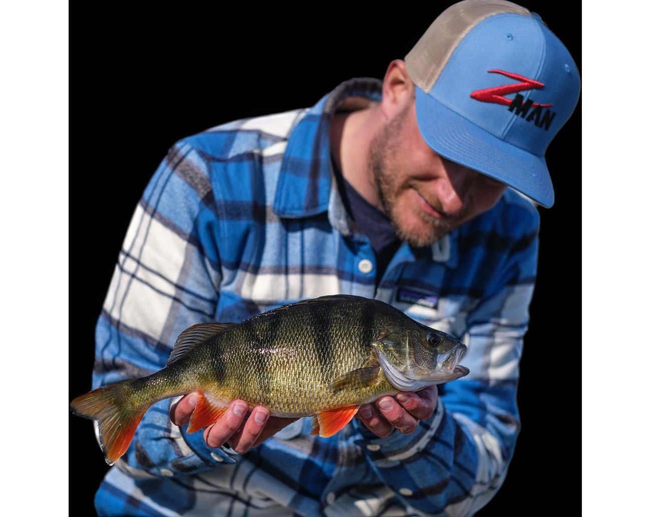 Z-Man Chatterspike 11,4cm (5-pack)